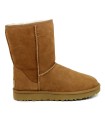 UGG W CLASSIC SHORT II CAMEL