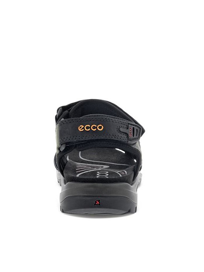 ECCO 069564 NEGRO